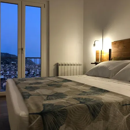 Vista *