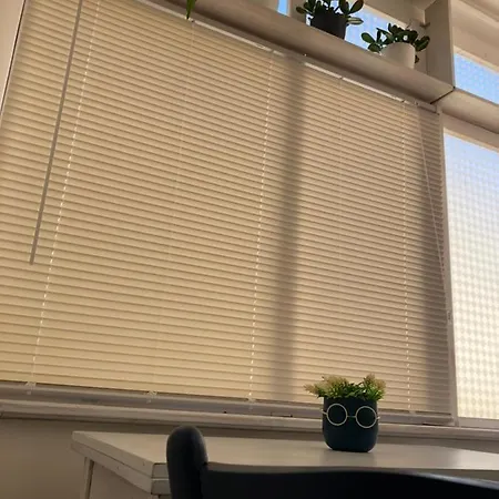Vista